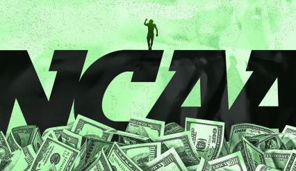 训练和分析 训练和分析