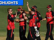 它为何如此 它为何如此